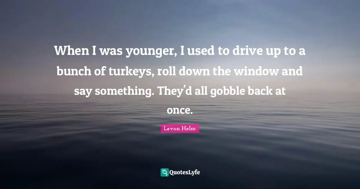 Turkeys Quotes: "When I was younger, I used to drive up to a bunch of turkeys, roll down the window and say something. They'd all gobble back at once."