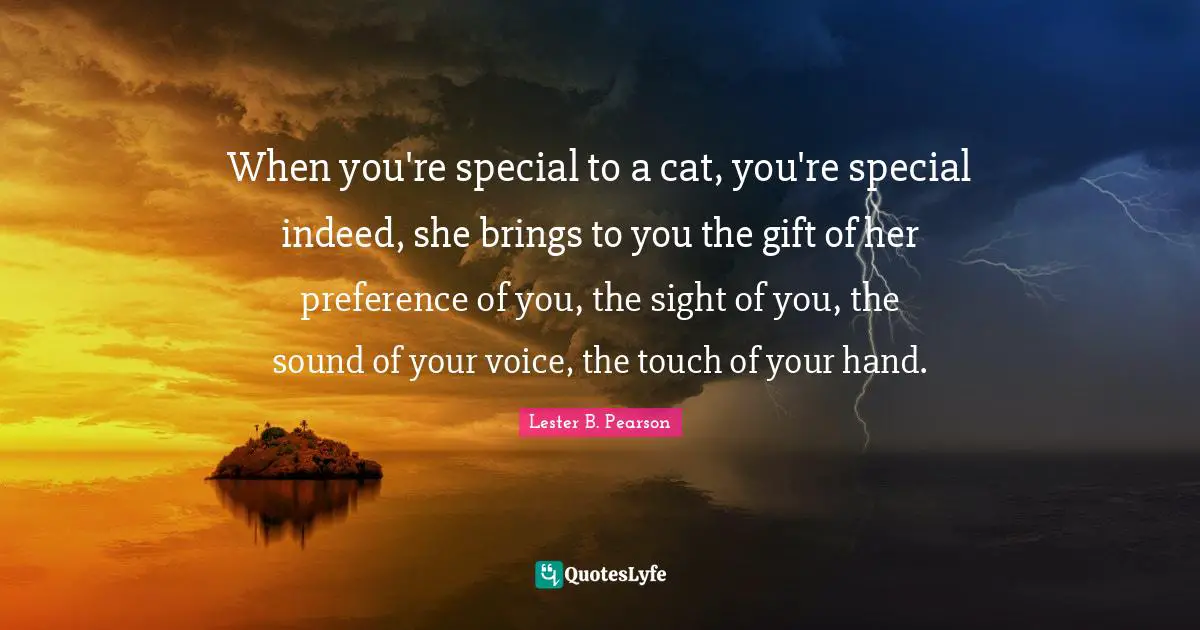 Preference Quotes: "When you're special to a cat, you're special indeed, she brings to you the gift of her preference of you, the sight of you, the sound of your voice, the touch of your hand."