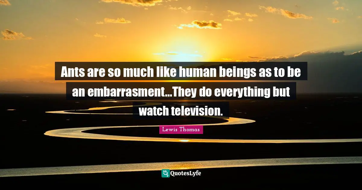 Ants are so much like human beings as to be an embarrasment...They do everything but watch television.