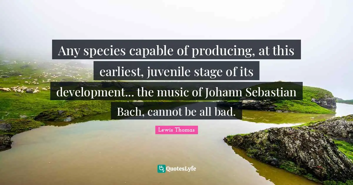 Any species capable of producing, at this earliest, juvenile stage of its development... the music of Johann Sebastian Bach, cannot be all bad.