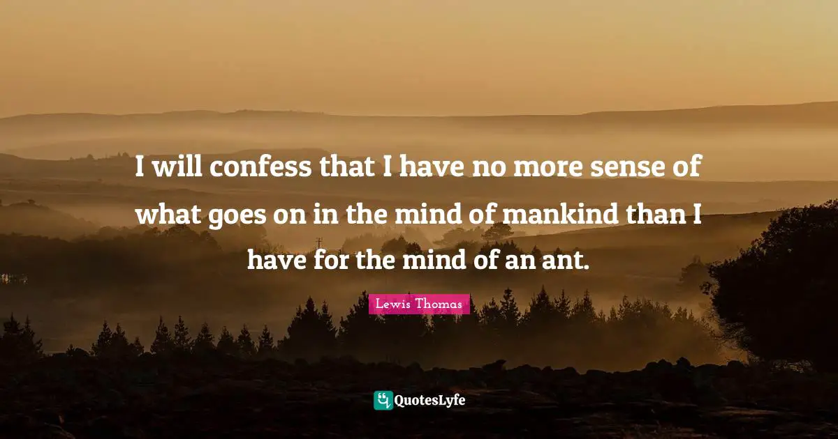 I will confess that I have no more sense of what goes on in the mind of mankind than I have for the mind of an ant.