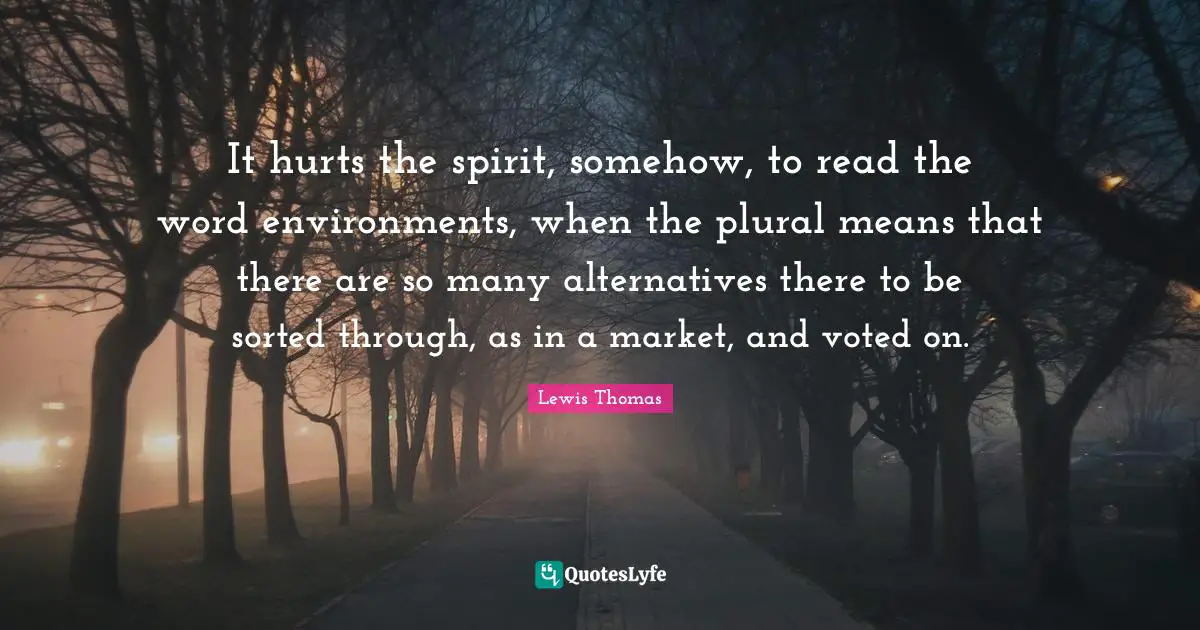 It hurts the spirit, somehow, to read the word environments, when the plural means that there are so many alternatives there to be sorted through, as in a market, and voted on.