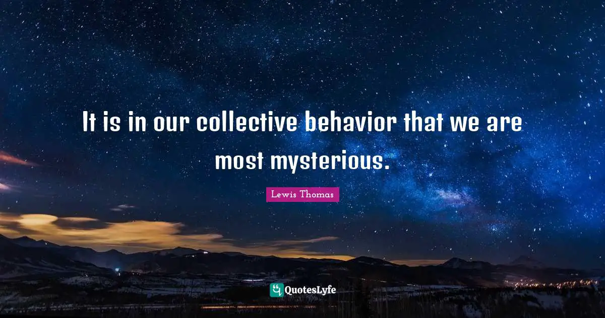 It is in our collective behavior that we are most mysterious.