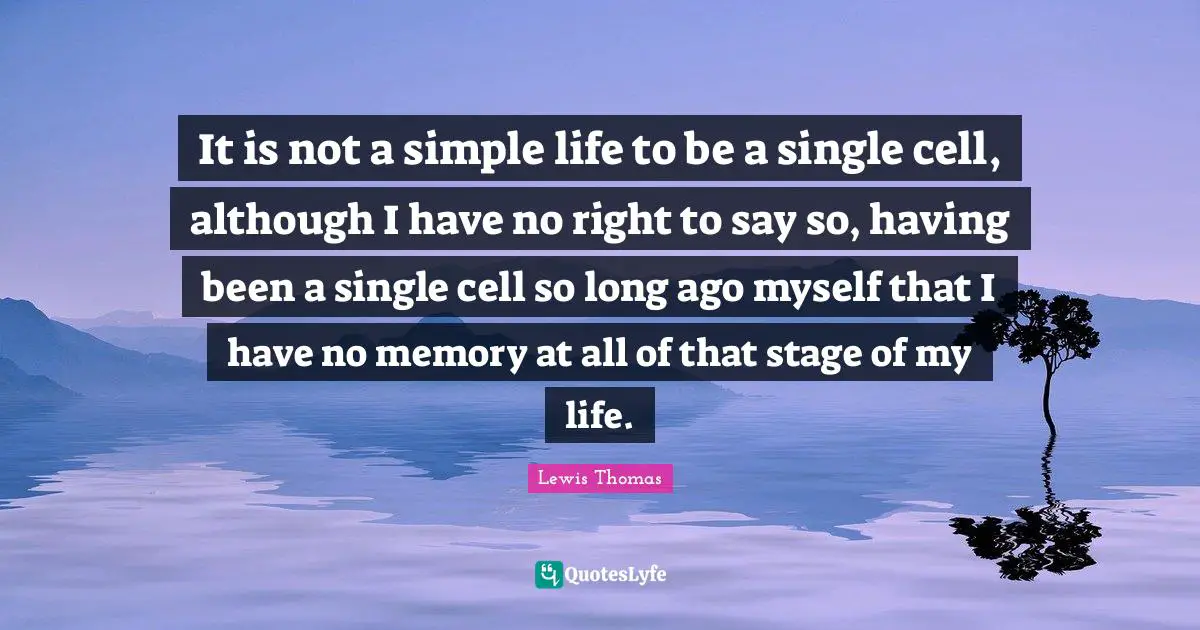 It is not a simple life to be a single cell, although I have no right to say so, having been a single cell so long ago myself that I have no memory at all of that stage of my life.