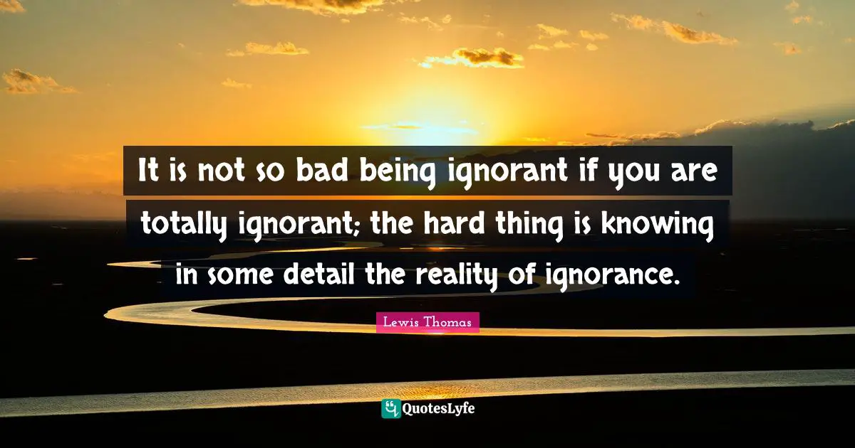 It is not so bad being ignorant if you are totally ignorant; the hard thing is knowing in some detail the reality of ignorance.