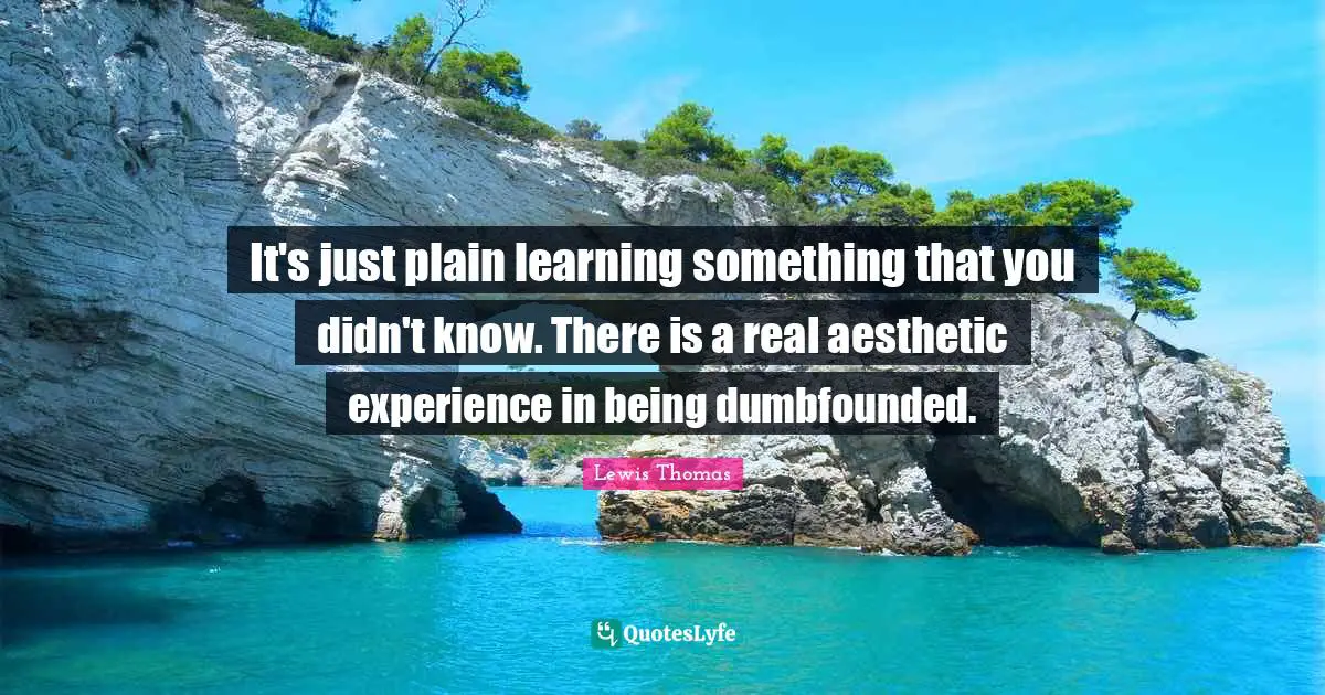 It's just plain learning something that you didn't know. There is a real aesthetic experience in being dumbfounded.