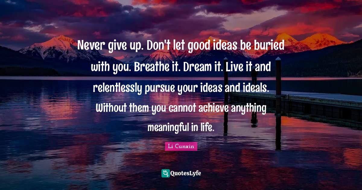 Never give up. Don't let good ideas be buried with you. Breathe it. Dream it. Live it and relentlessly pursue your ideas and ideals. Without them you cannot achieve anything meaningful in life.