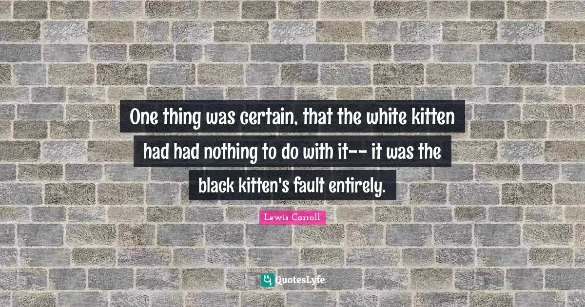 One thing was certain, that the white kitten had had nothing to do with it-- it was the black kitten's fault entirely.