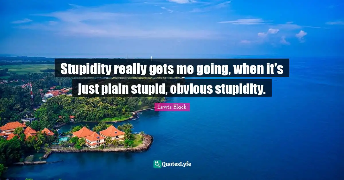 Stupidity really gets me going, when it's just plain stupid, obvious stupidity.