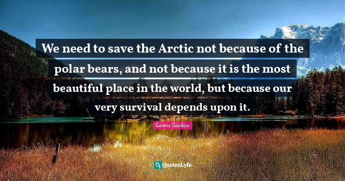 We need to save the Arctic not because of the polar bears, and not because it is the most beautiful place in the world, but because our very survival depends upon it.