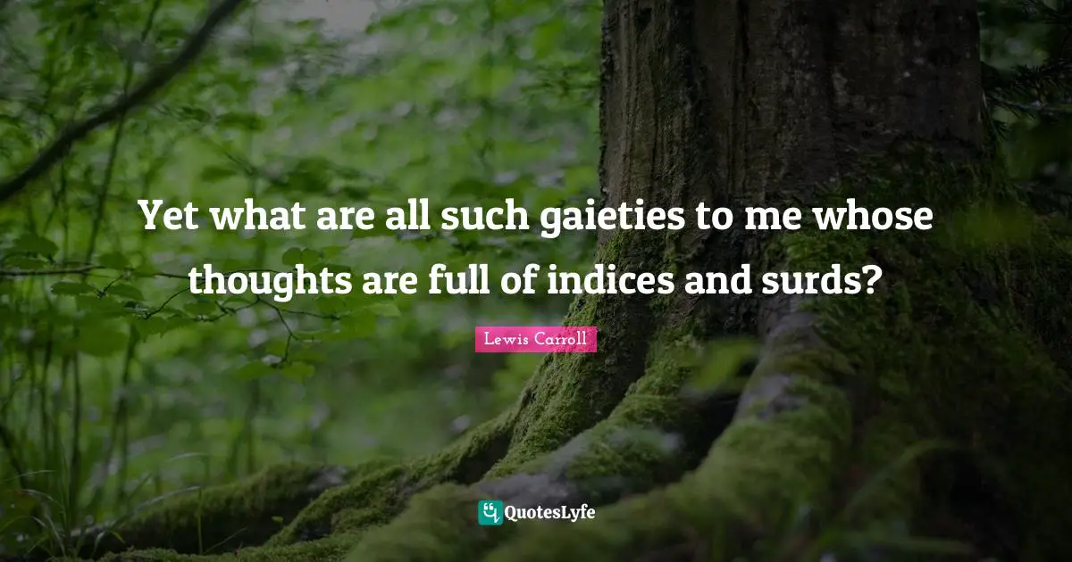Yet what are all such gaieties to me whose thoughts are full of indices and surds?