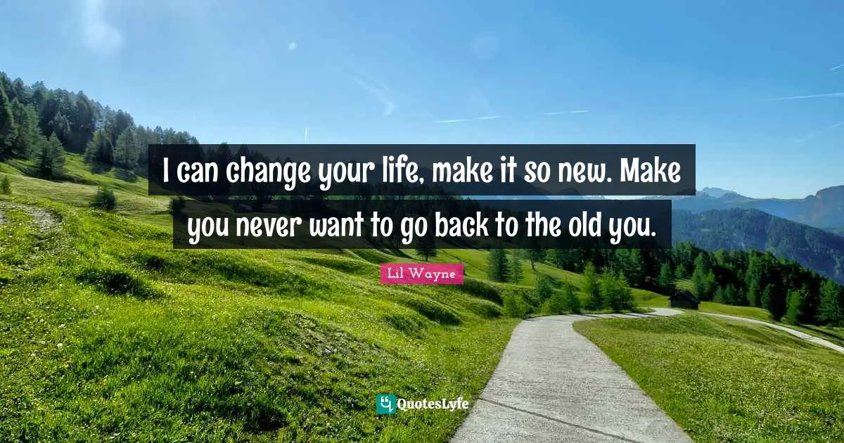 Lil Wayne Quotes: I can change your life, make it so new. Make you never want to go back to the old you.