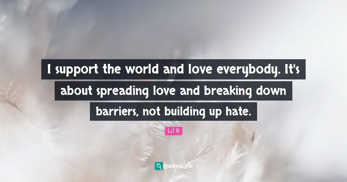 Building Up Quotes: "I support the world and love everybody. It's about spreading love and breaking down barriers, not building up hate."