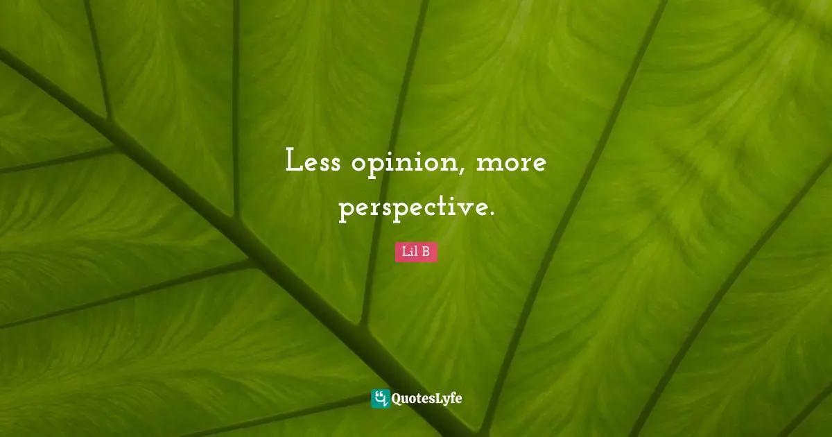 Opinion Quotes: "Less opinion, more perspective."