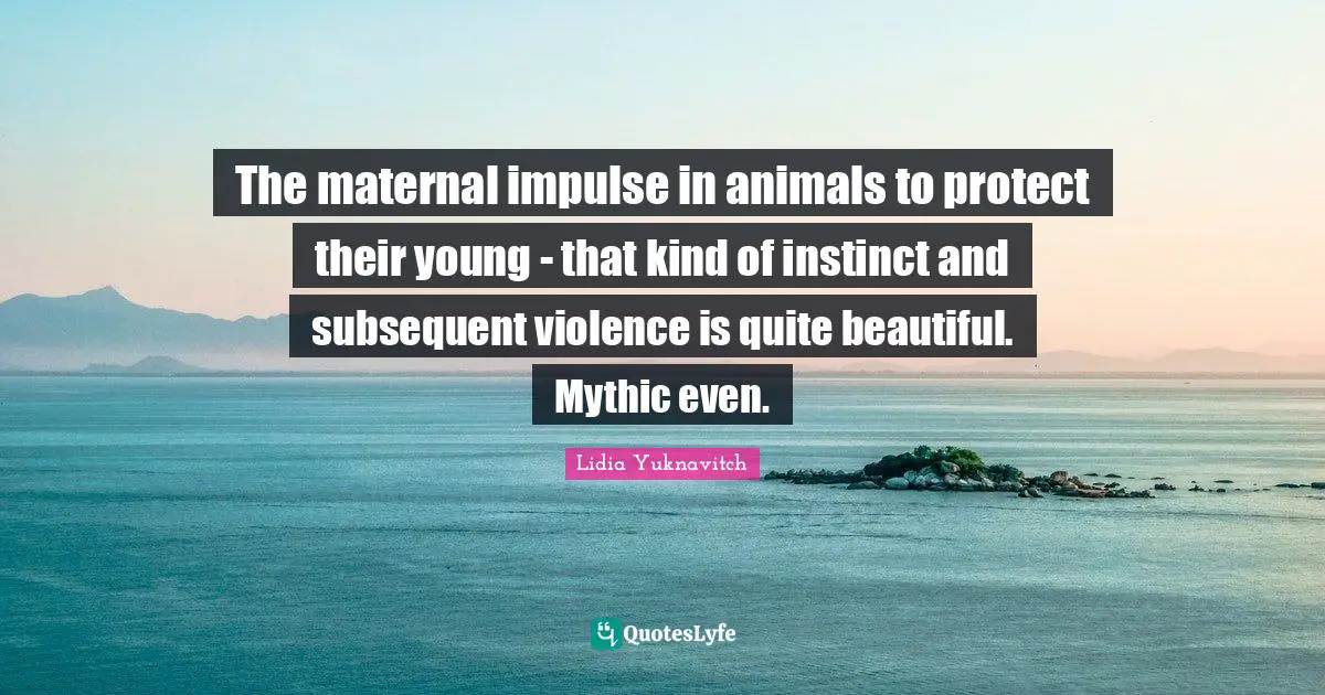 The maternal impulse in animals to protect their young - that kind of instinct and subsequent violence is quite beautiful. Mythic even.