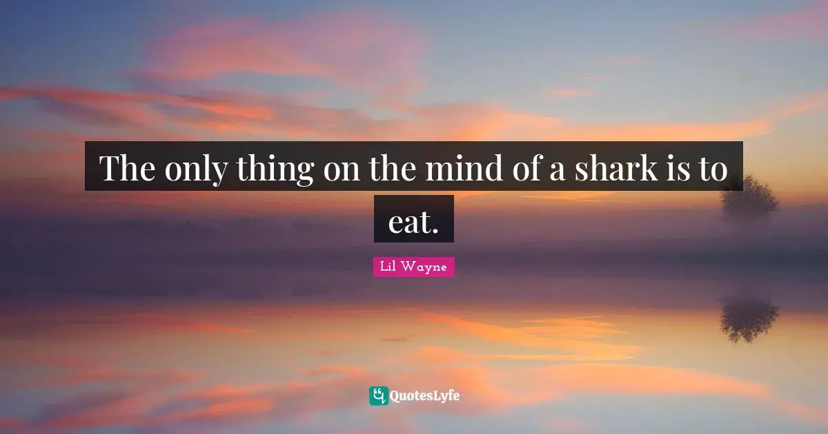 Lil Wayne Quotes: "The only thing on the mind of a shark is to eat."