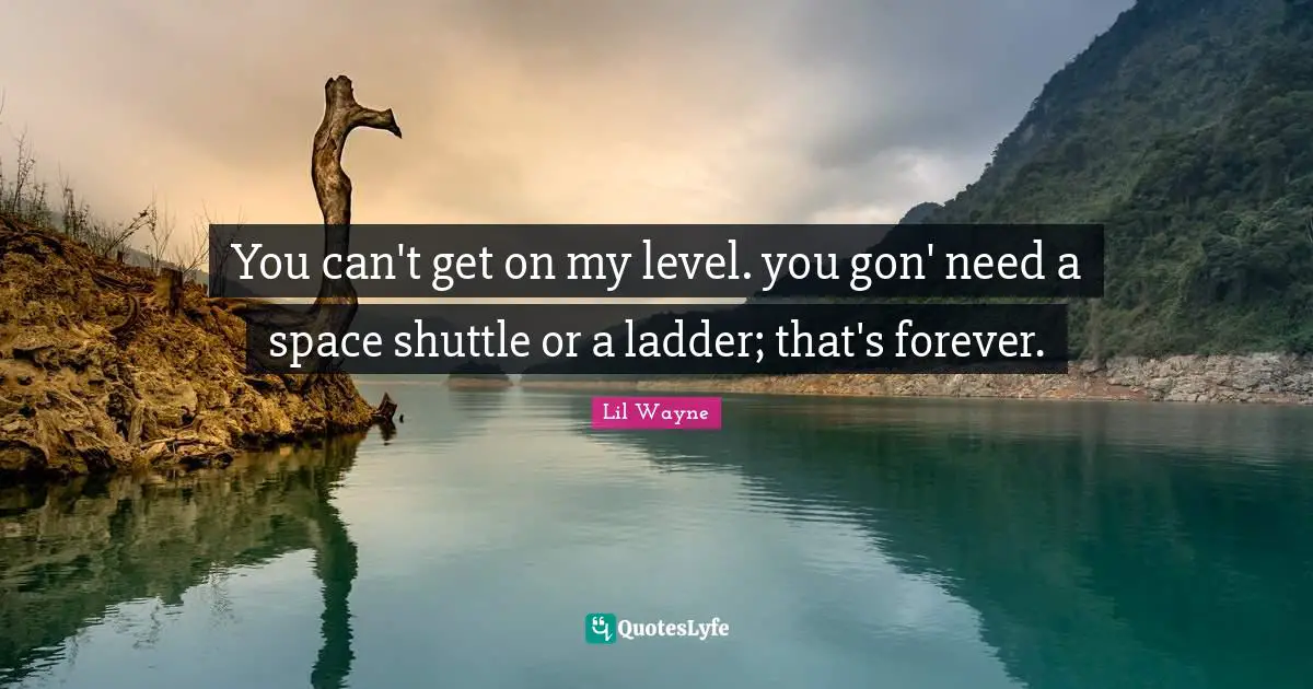 Lil Wayne Quotes: You can't get on my level. you gon' need a space shuttle or a ladder; that's forever.