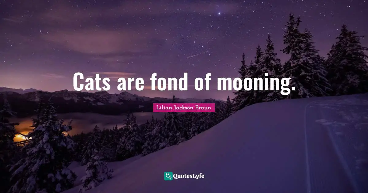 Cats are fond of mooning.