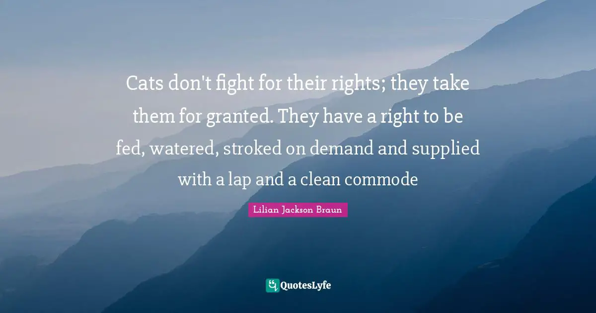 Cats don't fight for their rights; they take them for granted. They have a right to be fed, watered, stroked on demand and supplied with a lap and a clean commode