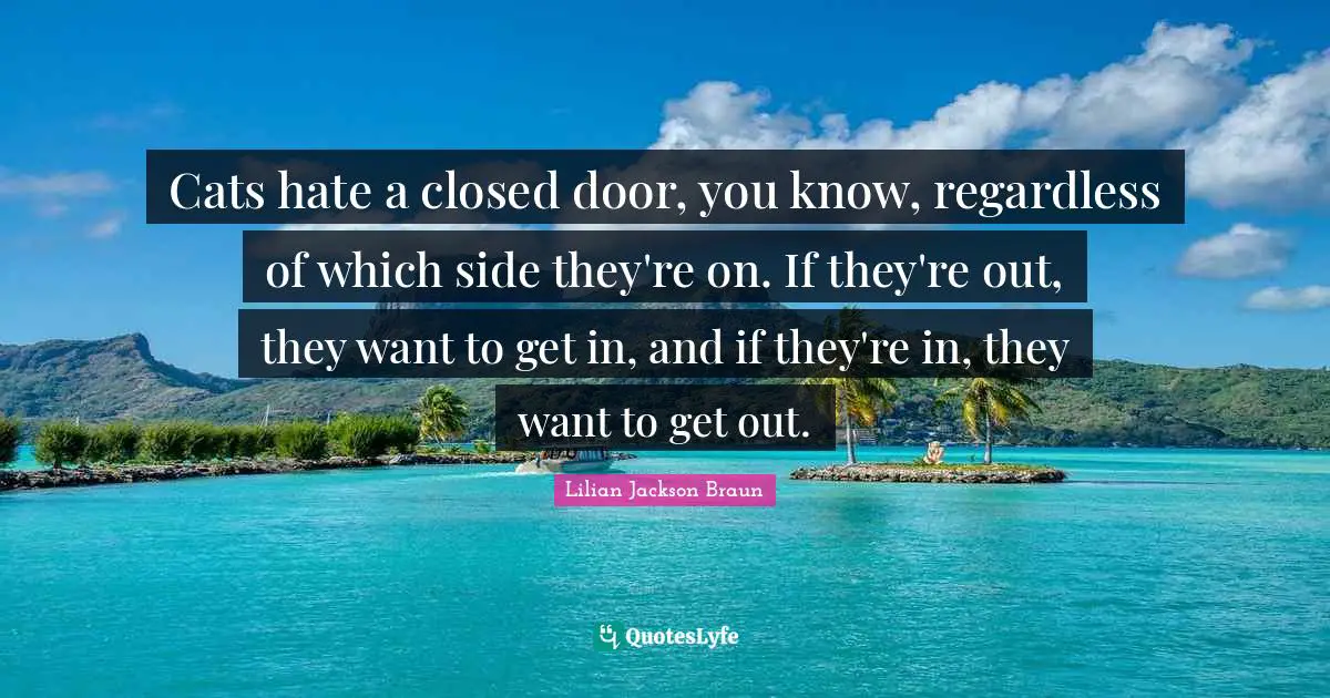 Cats hate a closed door, you know, regardless of which side they're on. If they're out, they want to get in, and if they're in, they want to get out.