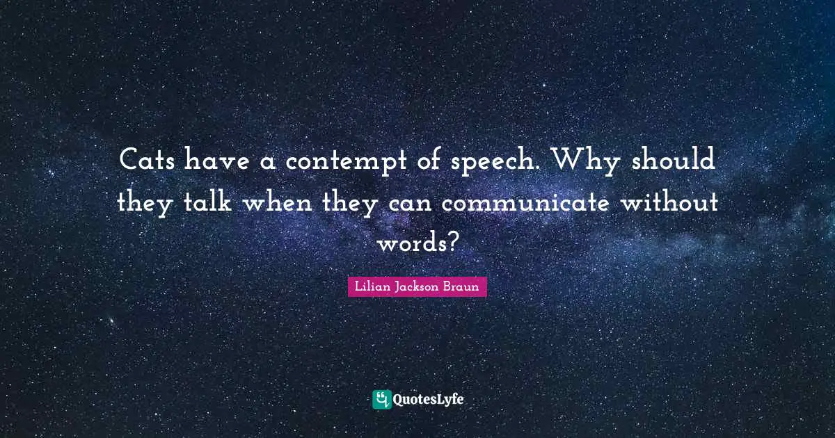 Cats have a contempt of speech. Why should they talk when they can communicate without words?