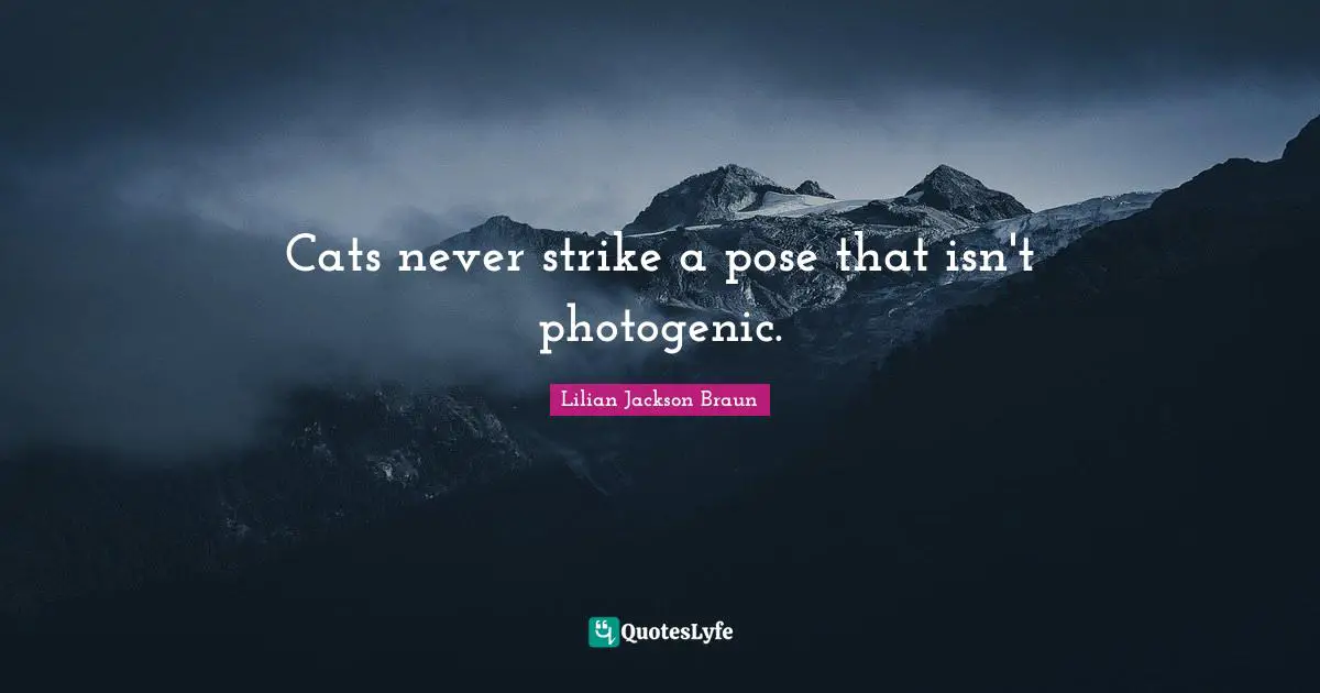 Cats never strike a pose that isn't photogenic.