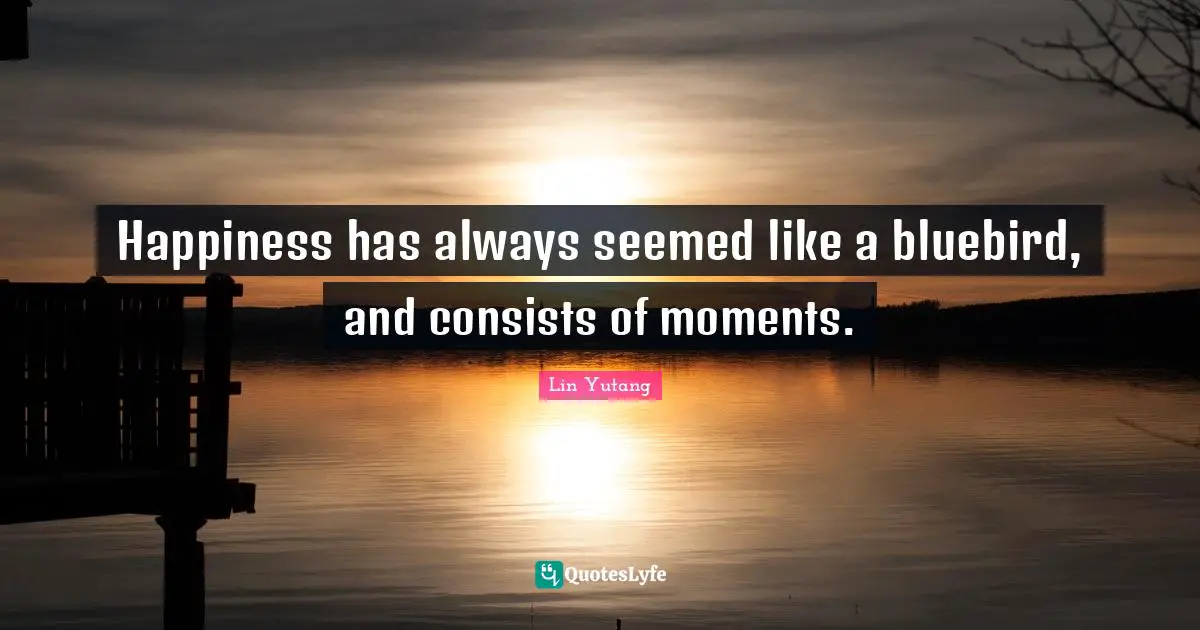 Bluebird Quotes: "Happiness has always seemed like a bluebird, and consists of moments."