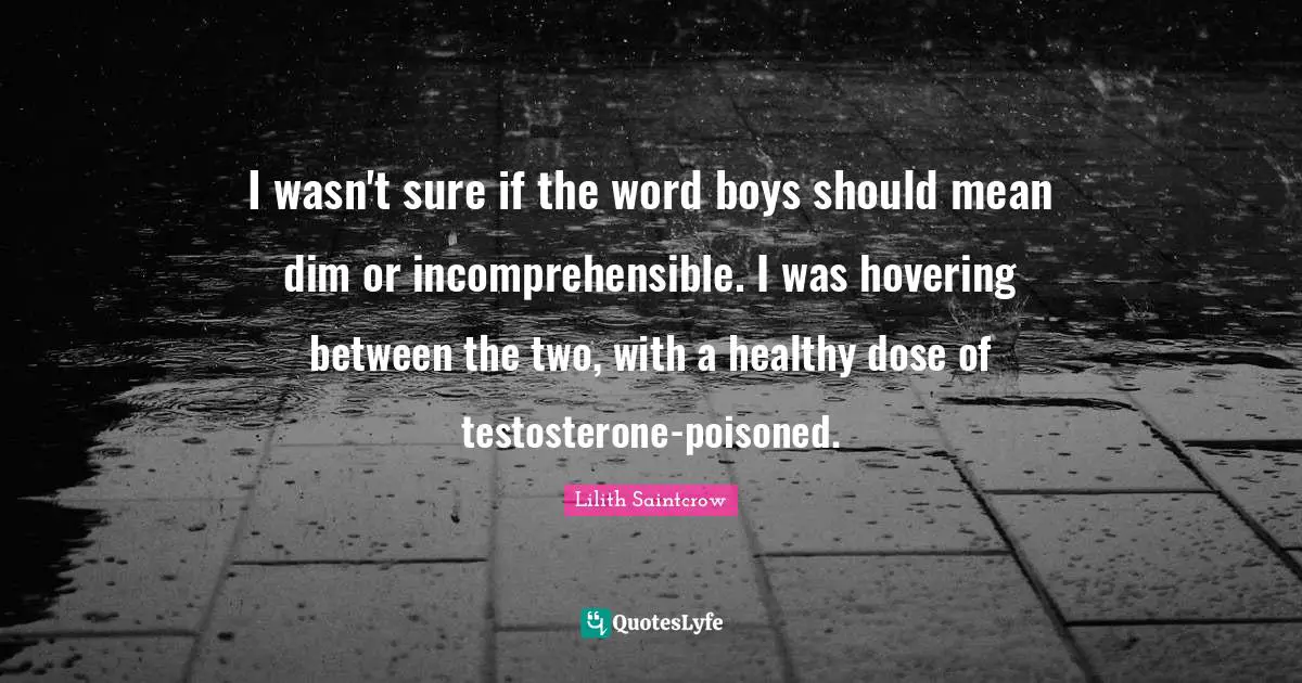 I wasn't sure if the word boys should mean dim or incomprehensible. I was hovering between the two, with a healthy dose of testosterone-poisoned.