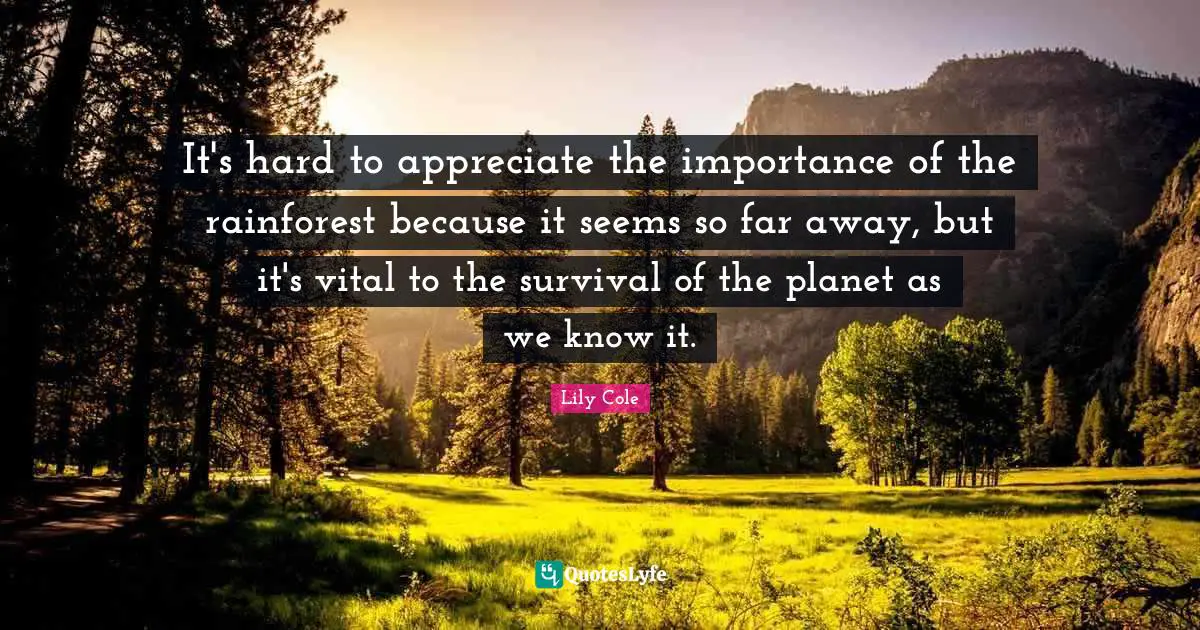 It's hard to appreciate the importance of the rainforest because it seems so far away, but it's vital to the survival of the planet as we know it.