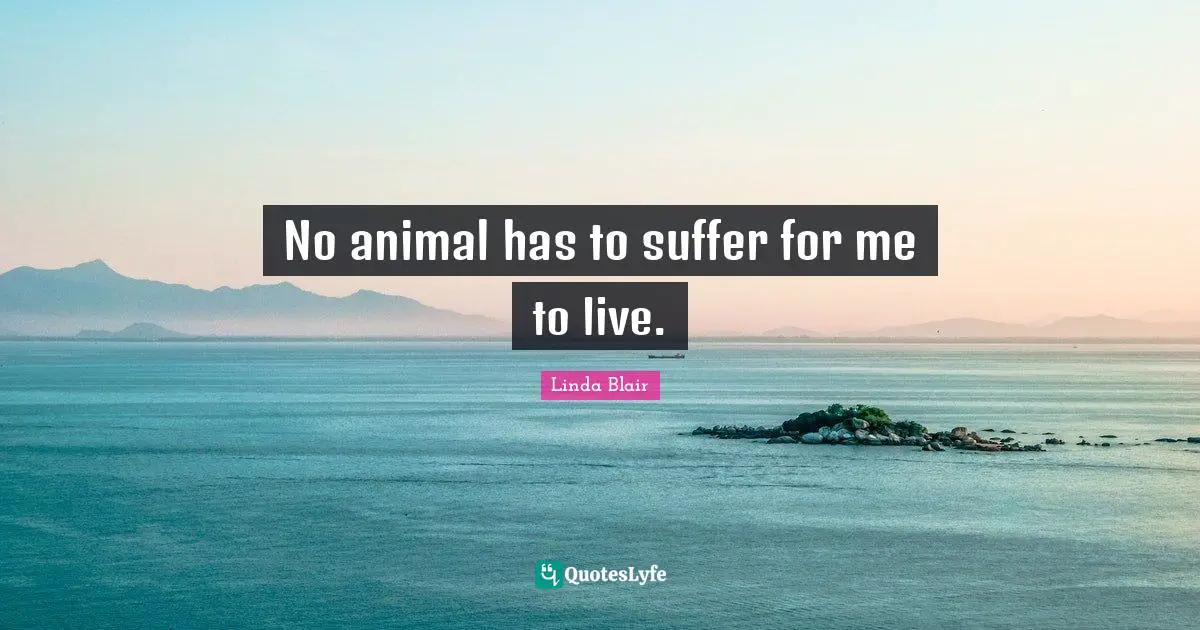 No animal has to suffer for me to live.