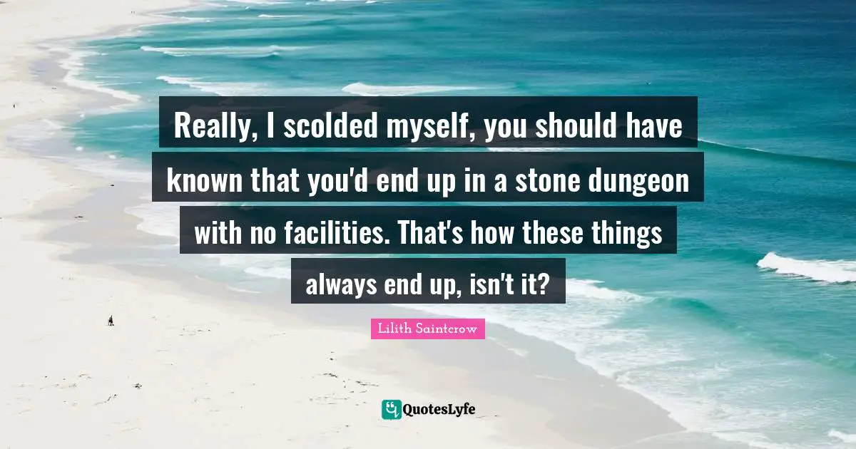 Really, I scolded myself, you should have known that you'd end up in a stone dungeon with no facilities. That's how these things always end up, isn't it?