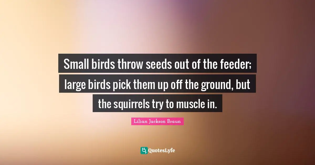 Small birds throw seeds out of the feeder; large birds pick them up off the ground, but the squirrels try to muscle in.