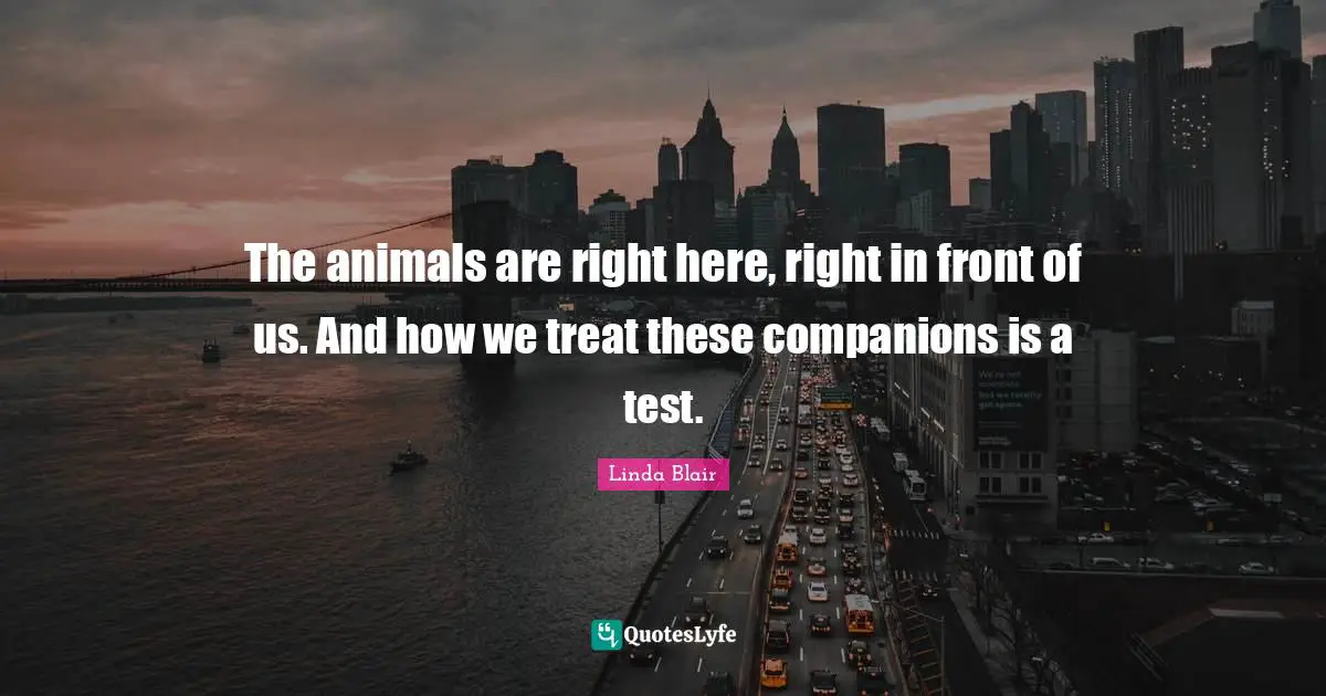 The animals are right here, right in front of us. And how we treat these companions is a test.