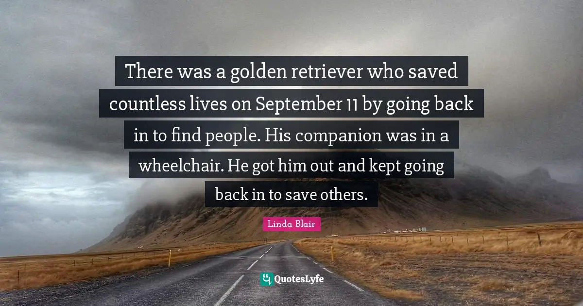 Saved Quotes: "There was a golden retriever who saved countless lives on September 11 by going back in to find people. His companion was in a wheelchair. He got him out and kept going back in to save others."