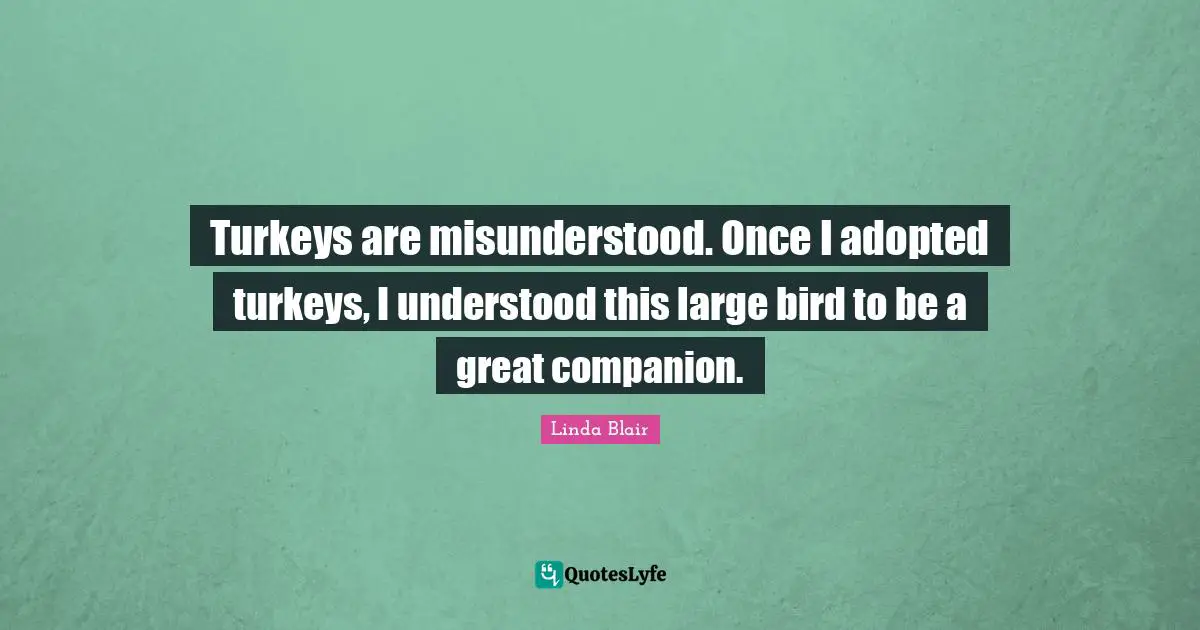 Turkeys are misunderstood. Once I adopted turkeys, I understood this large bird to be a great companion.