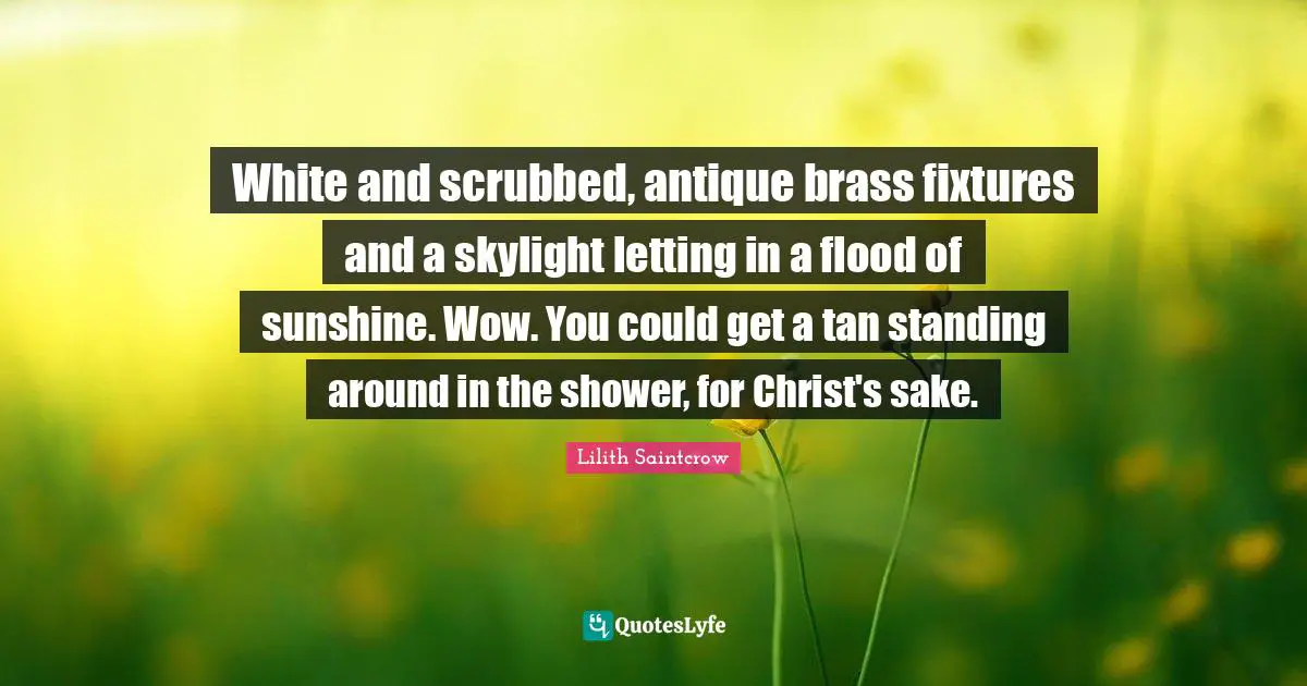 White and scrubbed, antique brass fixtures and a skylight letting in a flood of sunshine. Wow. You could get a tan standing around in the shower, for Christ's sake.