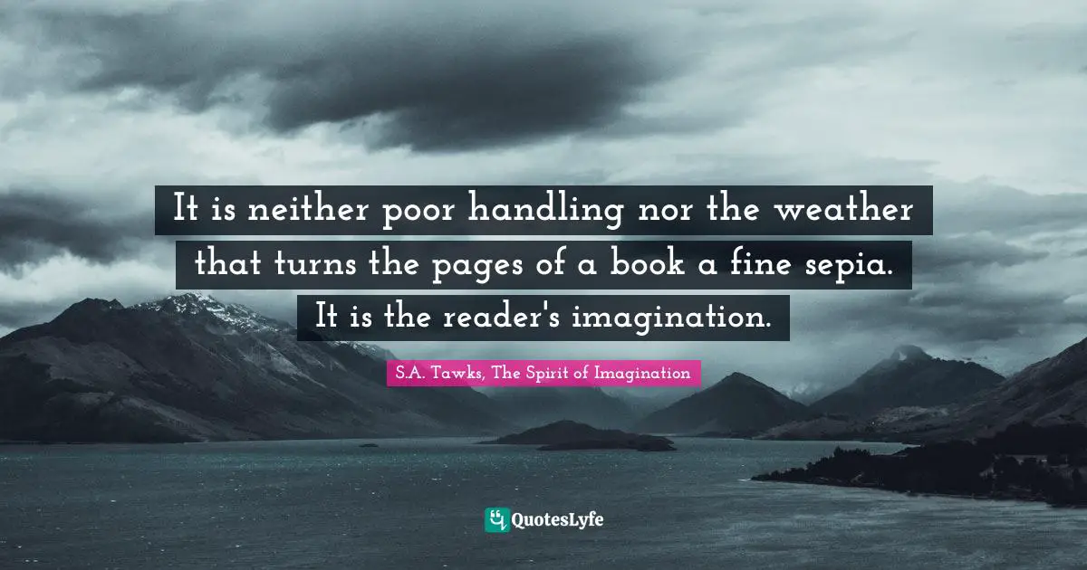 It is neither poor handling nor the weather that turns the pages of a book a fine sepia. It is the reader's imagination.