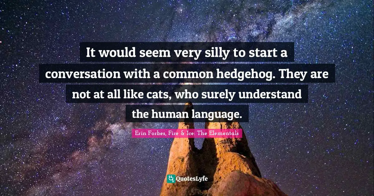 It would seem very silly to start a conversation with a common hedgehog. They are not at all like cats, who surely understand the human language.