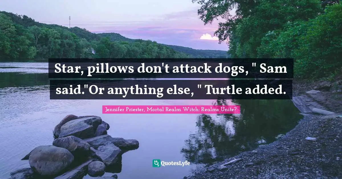 Star, pillows don't attack dogs, " Sam said."Or anything else, " Turtle added.