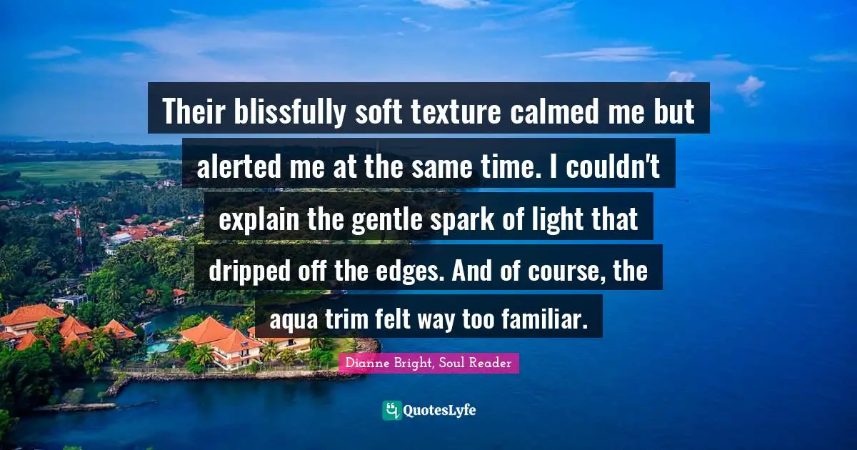 Their blissfully soft texture calmed me but alerted me at the same time. I couldn't explain the gentle spark of light that dripped off the edges. And of course, the aqua trim felt way too familiar.