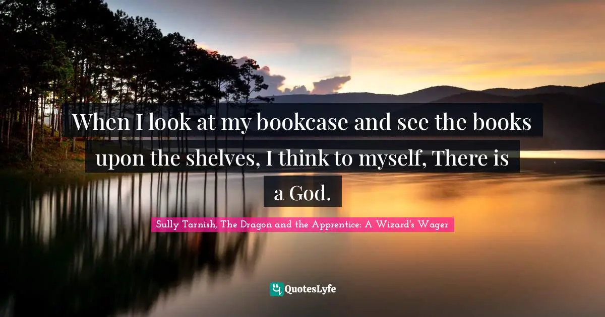 Sully Tarnish, The Dragon And The Apprentice: A Wizard's Wager Quotes: "When I look at my bookcase and see the books upon the shelves, I think to myself, There is a God."