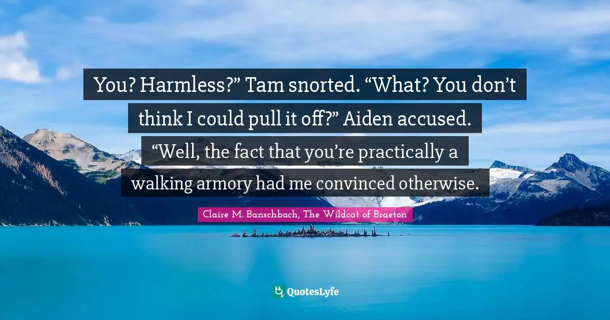 You? Harmless?” Tam snorted. “What? You don’t think I could pull it off?” Aiden accused. “Well, the fact that you’re practically a walking armory had me convinced otherwise.