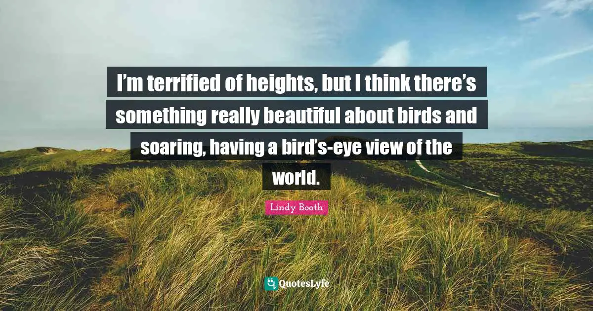 Really Beautiful Quotes: "I’m terrified of heights, but I think there’s something really beautiful about birds and soaring, having a bird’s-eye view of the world."