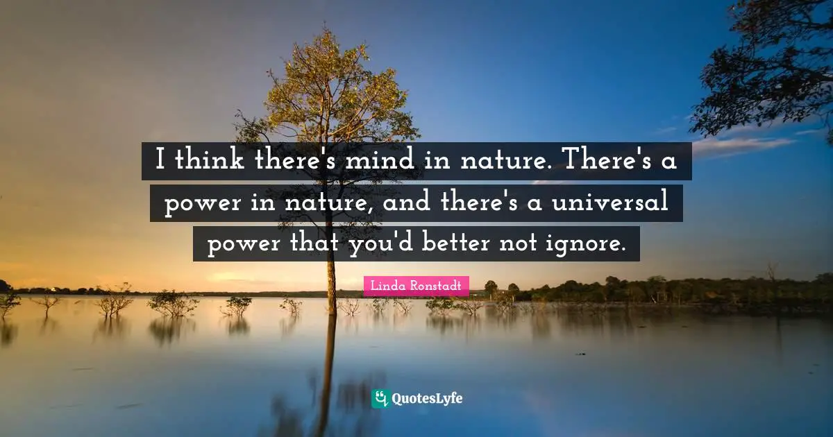 I think there's mind in nature. There's a power in nature, and there's a universal power that you'd better not ignore.