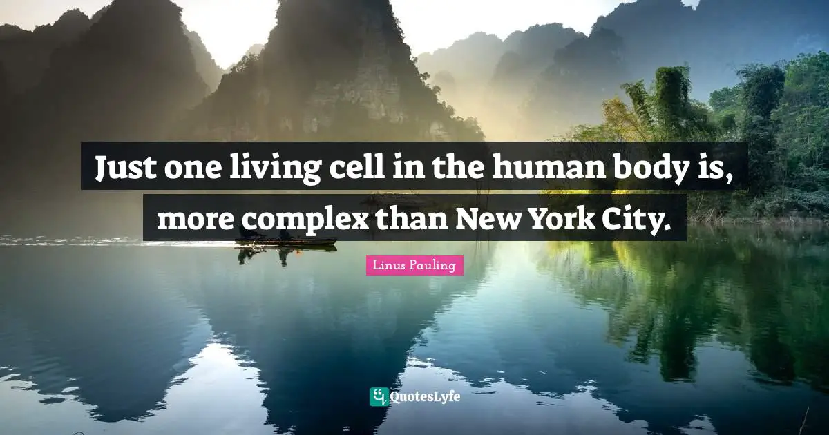New York City Quotes: "Just one living cell in the human body is, more complex than New York City."
