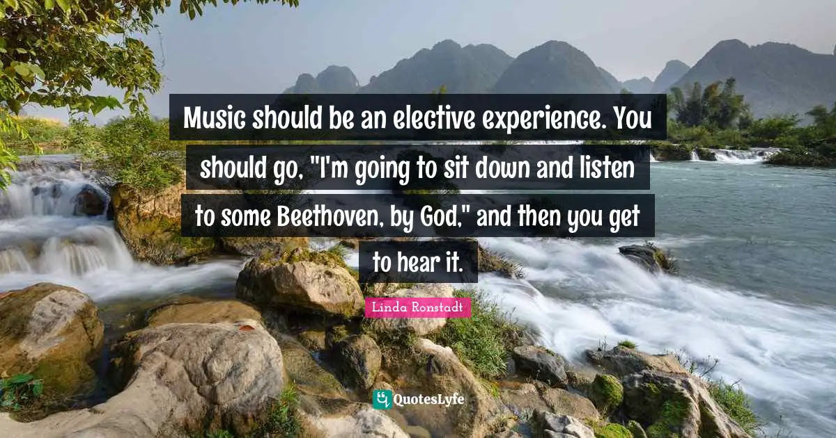 Music should be an elective experience. You should go, "I'm going to sit down and listen to some Beethoven, by God," and then you get to hear it.