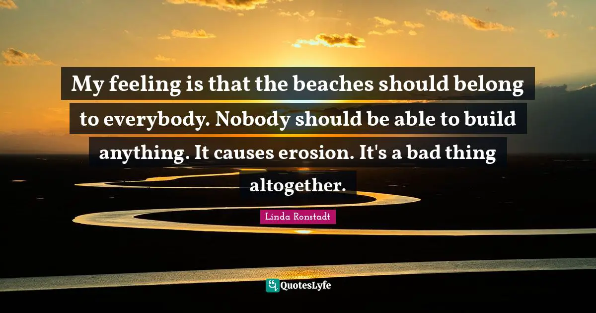 My feeling is that the beaches should belong to everybody. Nobody should be able to build anything. It causes erosion. It's a bad thing altogether.
