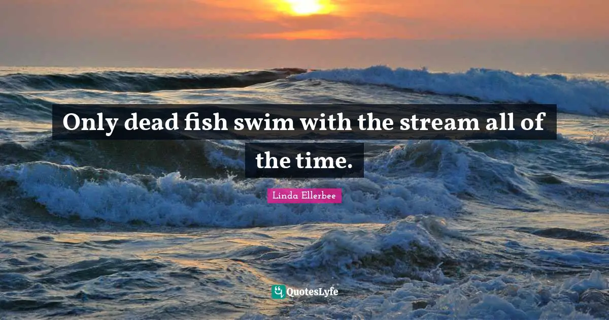 Only dead fish swim with the stream all of the time.