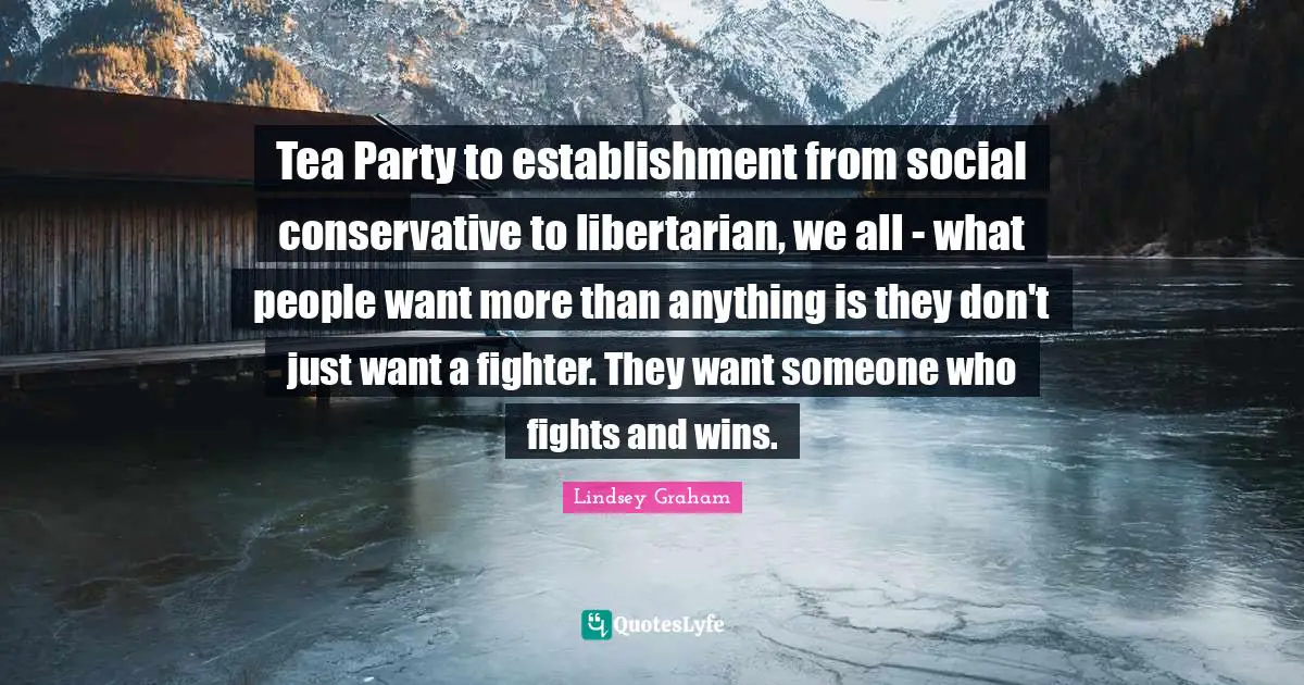 Lindsey Graham Quotes: "Tea Party to establishment from social conservative to libertarian, we all - what people want more than anything is they don't just want a fighter. They want someone who fights and wins."