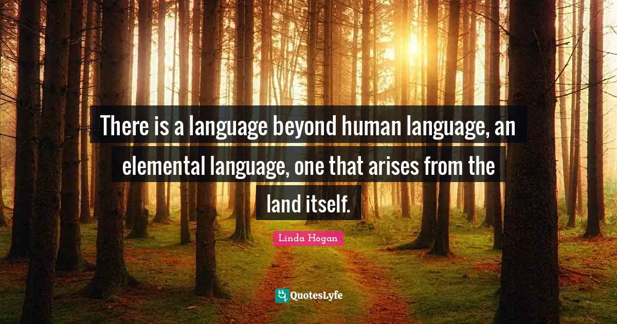 There is a language beyond human language, an elemental language, one that arises from the land itself.